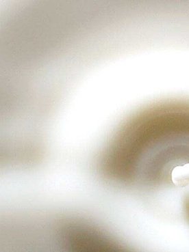 Anti Ageing Cream Serums