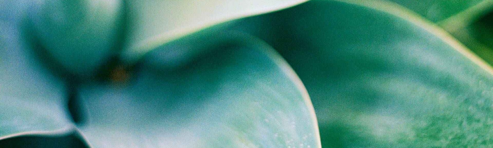 Minimise Look Of Existing Wrinkles