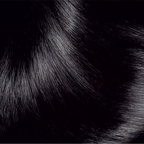Haircolor 1 Black Excellence Creme Hair Swatch