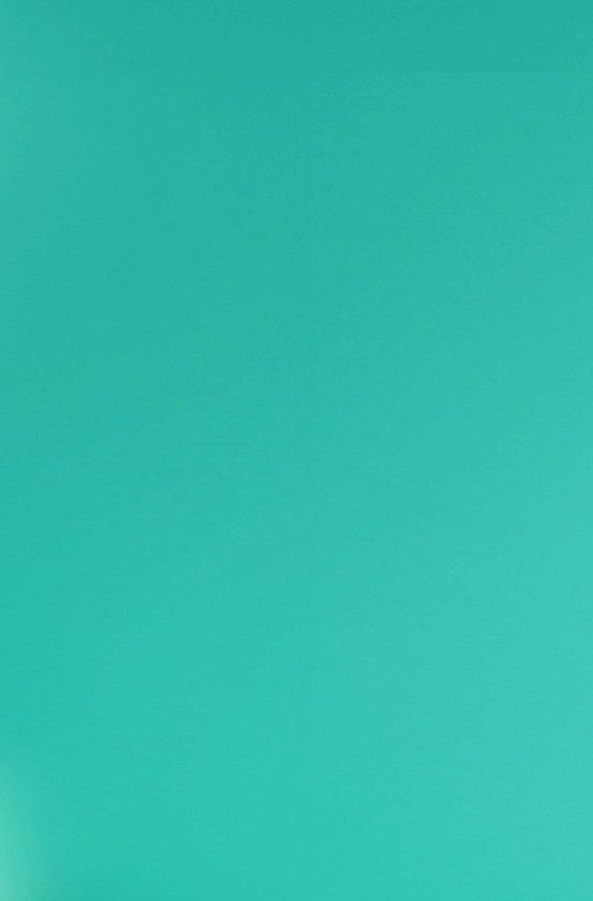 Light Blonde Header
