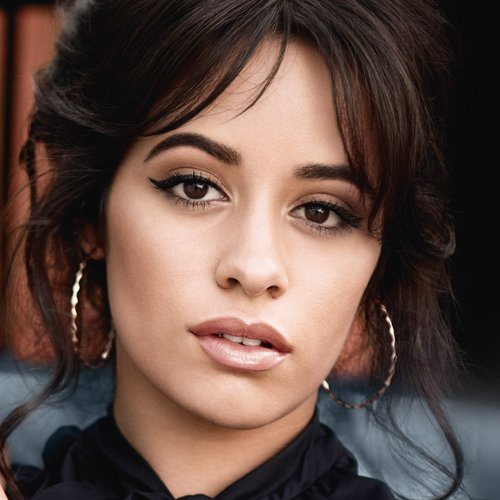 Camila Cabello Brow Artist High Contour Hero