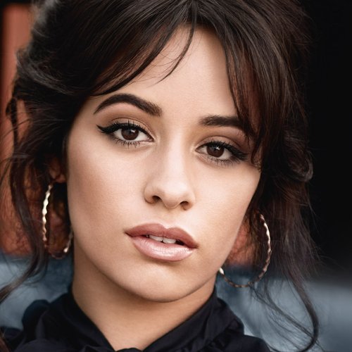 Camila Cabello Brow Artist High Contour Hero