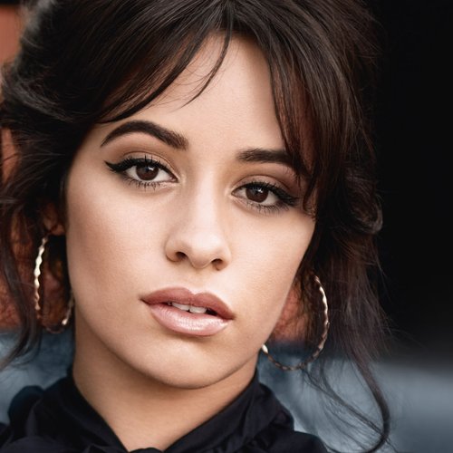 Camila Cabello Brow Artist High Contour Hero