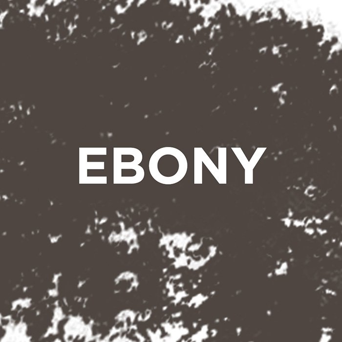 Loreal Paris Infallible BrowExpert Product 3600524054670 Ebony 05Swatch